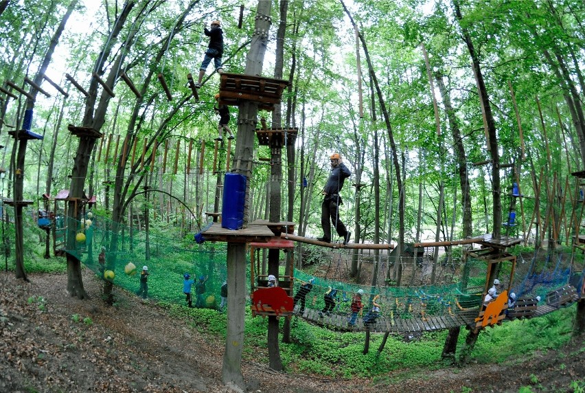 Chociaż zoo w Gdańsku zna zapewne każdy, tamtejszy park...