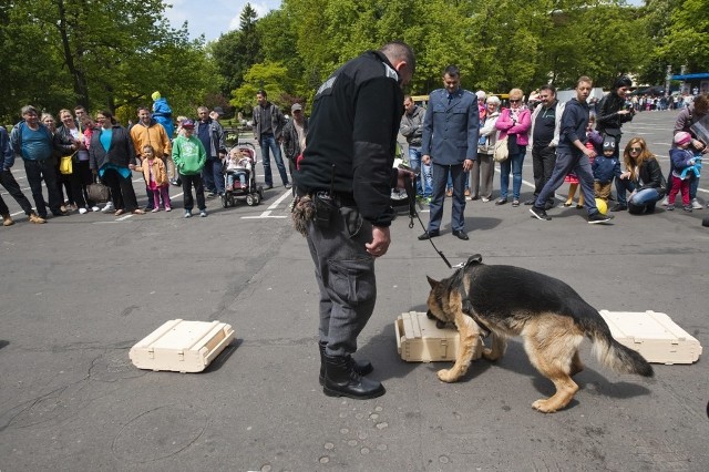 Piknik charytatywny w Koszalinie na rzecz hospicjum