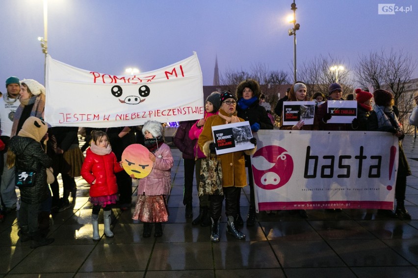 Szczecinianie protestują przeciw odstrzałowi dzików. "To barbarzyńskie rozporządzenie!" [ZDJĘCIA, WIDEO]