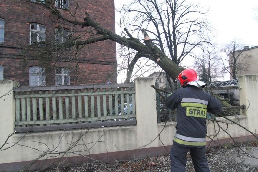 Drzewo runęło na dwa samochody i budynek przy ul....