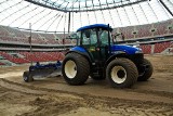 Trawa spod Szczecinka na Stadionie Narodowym w Warszawie