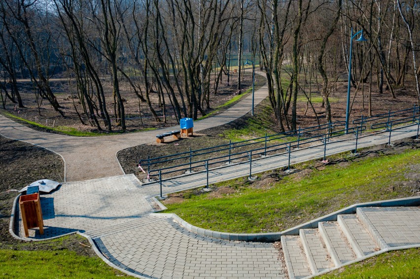 Park Tysiąclecia jest przepiękny. To miejsce może podbić...