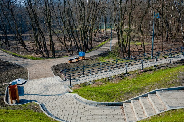 Park Tysiąclecia jest przepiękny. To miejsce może podbić serca mieszkańców Sosnowca. Zobacz kolejne zdjęcia. Przesuń zdjęcia w prawo - wciśnij strzałkę lub przycisk NASTĘPNE