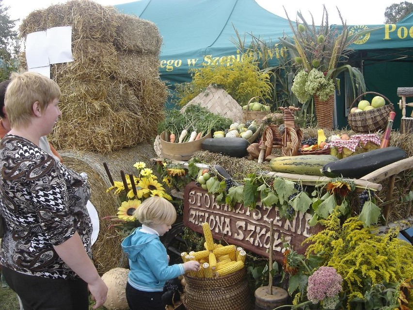 Dozynki Wojewódzkie Suraz 2010