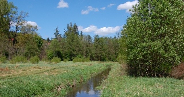 Maj 2009 w Krępie Słupskiej