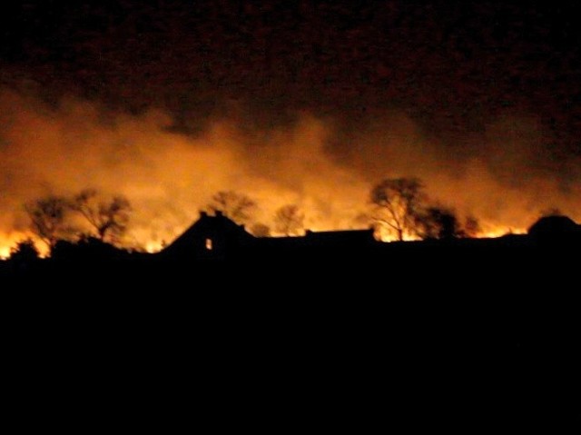 Pożar nieużytków nad brzegiem Warty pod Gorzowem.