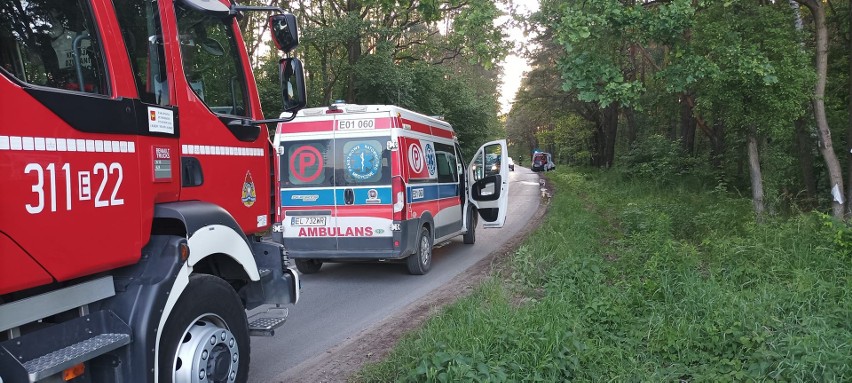 Kierowca bmw wjechał 150 metrów w las. Był pijany i "ściął" kilka drzew. ZDJĘCIA