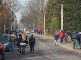 Dobiega końca licytacja drogą one line koni ze stadniny w Wiączyniu Dolnym pod Łodzią z udziałem ponad tysiąca osób