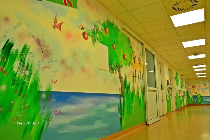 Maciej Kot maluje ściany dla dzieci na oparzeniówce w Łęcznej
