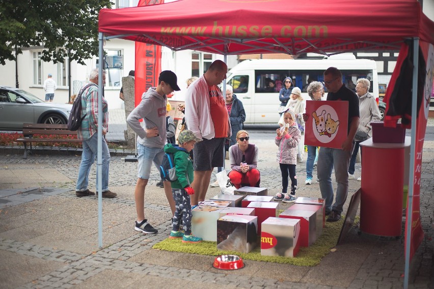 Święto ulicy Marynarki Polskiej to impreza, która zamknęła...