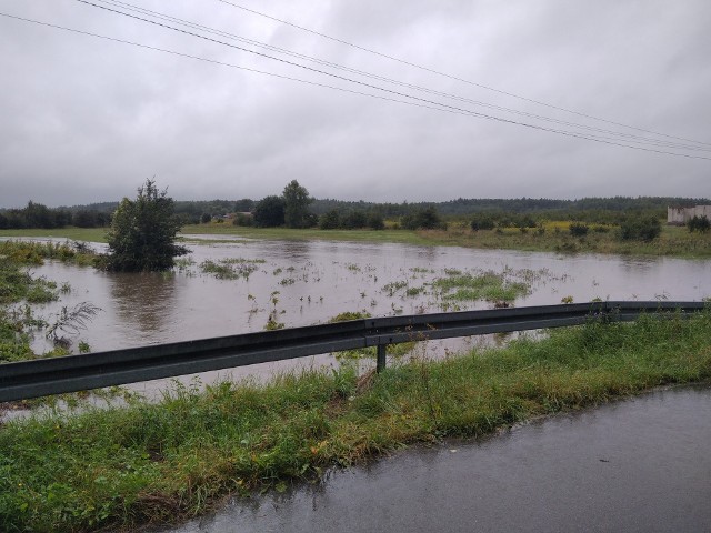 Tak wyglądała rzeka Rzoska w okolicach miejscowości Strażnik w gminie Solec-Zdrój we wtorek około 14.