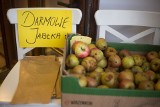 Darmowe jabłka w Centrum Informacji Turystycznej w Słupsku!