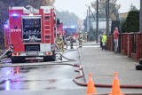 "Ludzie, czy to jest poważne?" Mieszkańcy przeszkadzali strażakom w gaszeniu ogromnego pożaru hali w Skórzewie