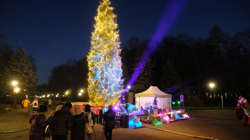 Kilkunastometrowa choinka w świątecznej iluminacji w Parku...