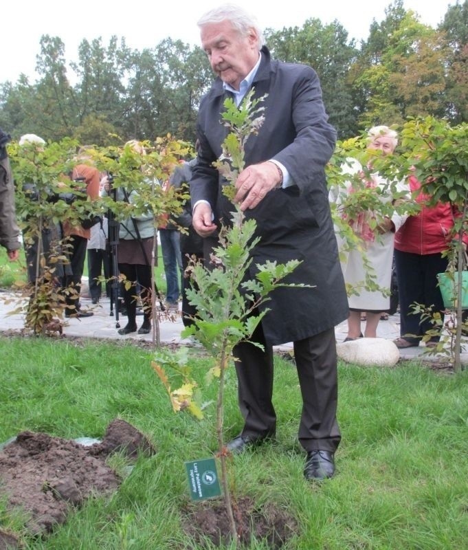 Leonard Pietraszak w 2013 roku zasadził drzewo w alei gwiazd...