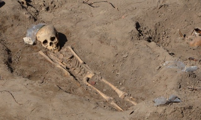 Jeden ze znalezionych w Byczynie szkieletów.