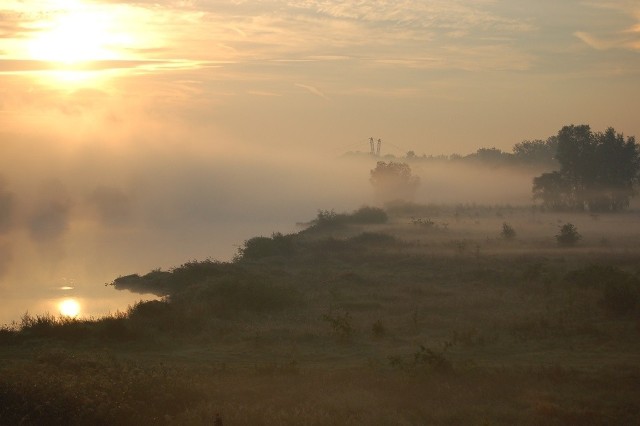 Tereny nad Odrą we Wrocławii