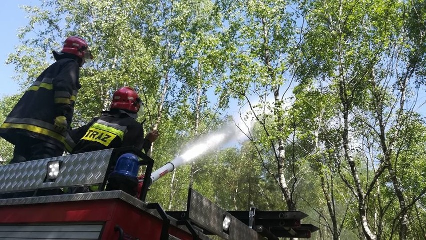 Strażacy ćwiczyli wielki pożar lasu, a tu pojawił się prawdziwy ogień [ZDJĘCIA]