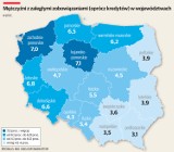 Długi mieszkańców Łódzkiego. Rekordzista ma do spłaty 3,9 mln zł