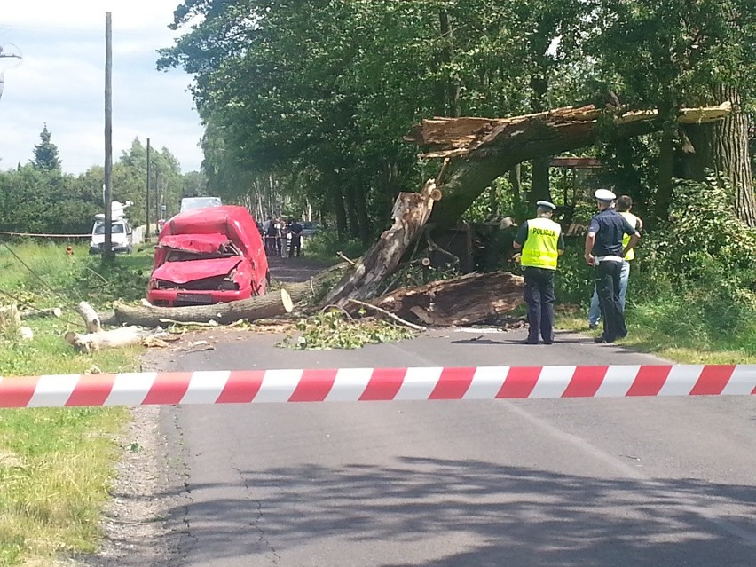 Silny wiatr w Łódzkiem. Drzewo spadło na jadący samochód. Nie żyje mężczyzna [FOTO]