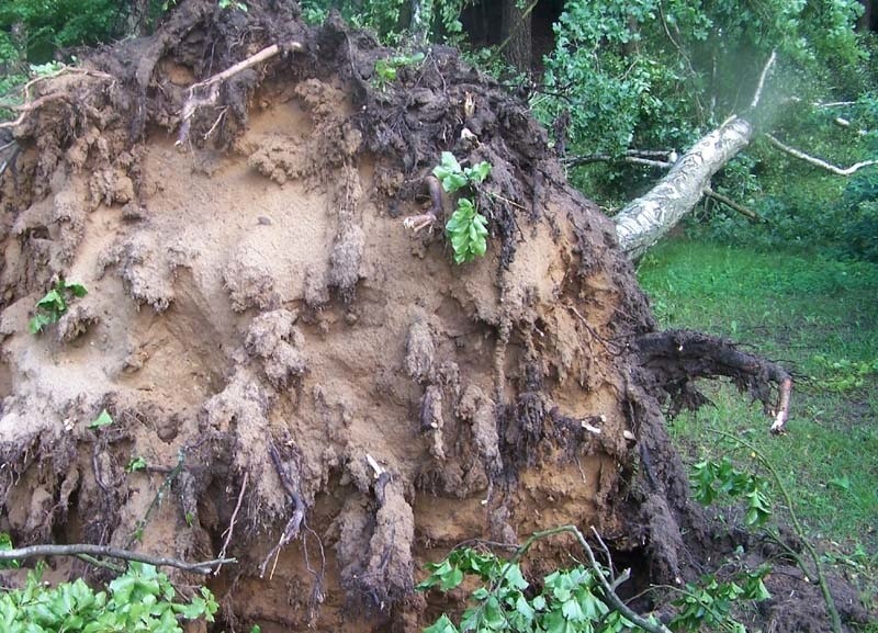 Złocieniec: trąba powietrzna przeszła nad wyspą.