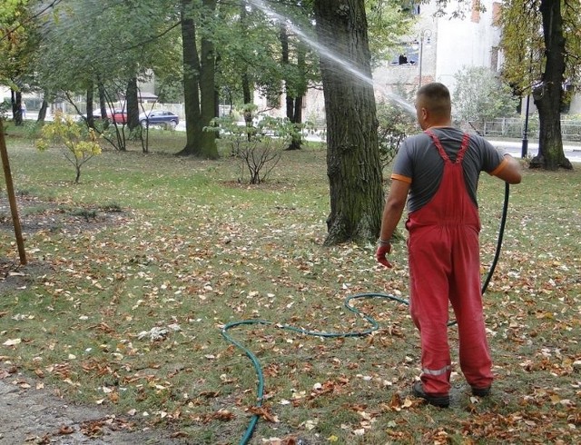 Mimo zbudowania kosztownego systemu nawadniania parku Kościuszki, to na razie jedyny sposób, by podlać krzewy i drzewa: trzeba lać wodę ze zwykłego węża ogrodniczego.