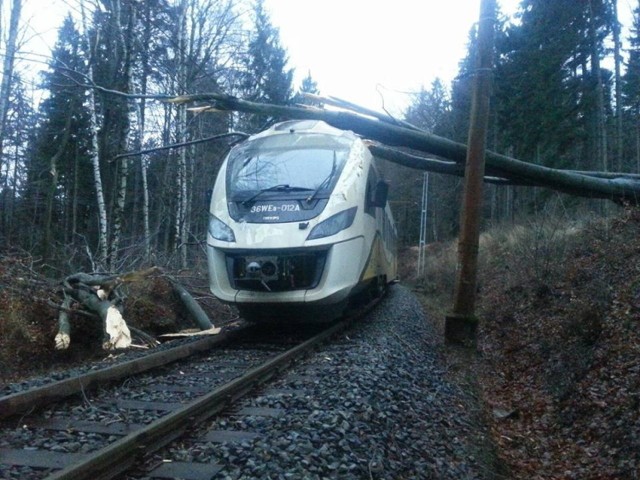 Pociąg wjechał w zwisające nad torami drzewo. Do tego wypadku doszło 21 grudnia ubr.