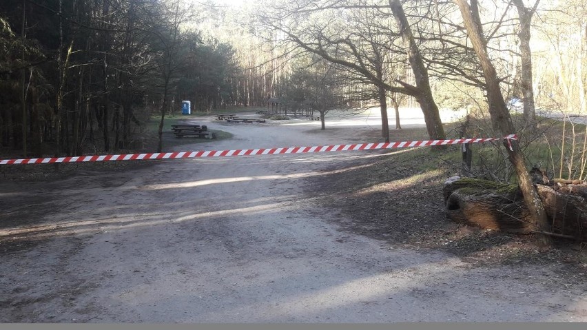 Lasy miejskie w Szczecinie powinny być otwarte? Apeluje o to część radnych. Zagłosuj w sondzie! - 16.04.2020