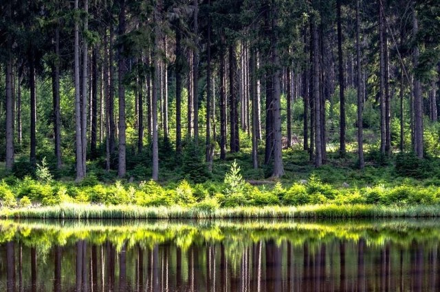 Park Narodowy Gór Stołowych charakteryzuje się malowniczym pasmem gór o wyjątkowym poziomym ułożeniu, stąd ich nazwa. To świetnie miejsce dla wszystkich sportowców. Latem to raj dla miłośników wycieczek rowerowych, ponieważ przez park przechodzimiędzynarodowa trasa „Góry Stołowe” o długości 125 km. Co więcej, jest tu sporo tras do wspinaczki i wycieczek trekkingowych. Natomiast zimą to miejsce jest idealne na ostatnio bardzo popularne narciarstwo biegowe.