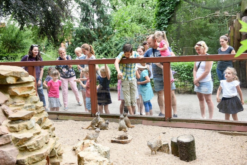 Dziś (1 lipca) w Ogrodzie Zoobotanicznym w Toruniu...