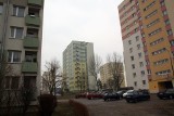To jedne z najtańszych mieszkań w Gdyni! Gdzie możemy kupić własne lokum w rozsądnej cenie?