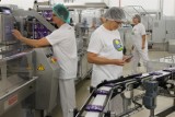 Mondelez rozpędza produkcję w Skarbimierzu