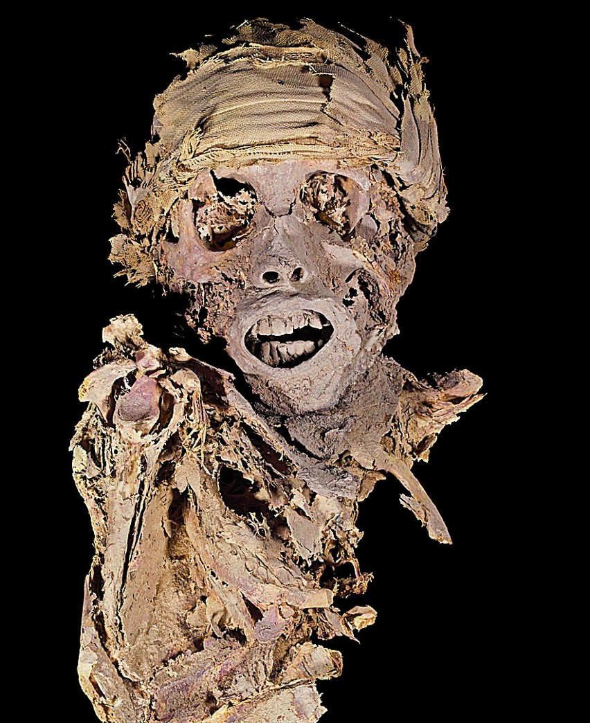 Mumia odkryta w sezonie 2015/2016.