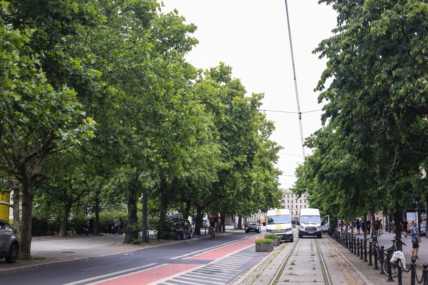 Lewica ma pomysł na remont na ul. 27 Grudnia bez wycinki drzew: zmiana planowanej trasy tramwajów