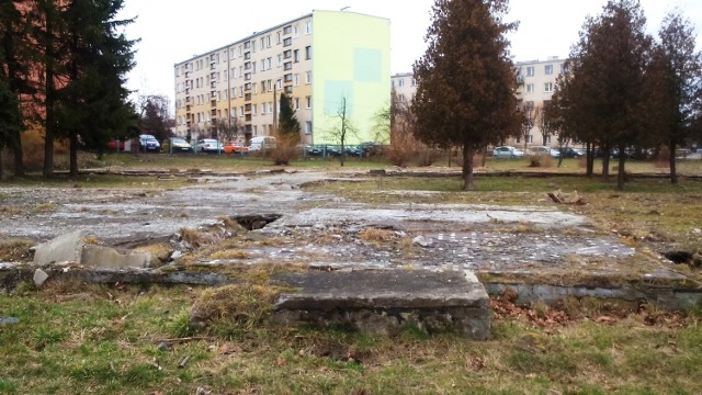 Teren po dawnym przedszkolu w parku imienia Adama Bienia w Staszowie na razie nie zostanie zagospodarowany. Potrzebne jest dofinansowanie.