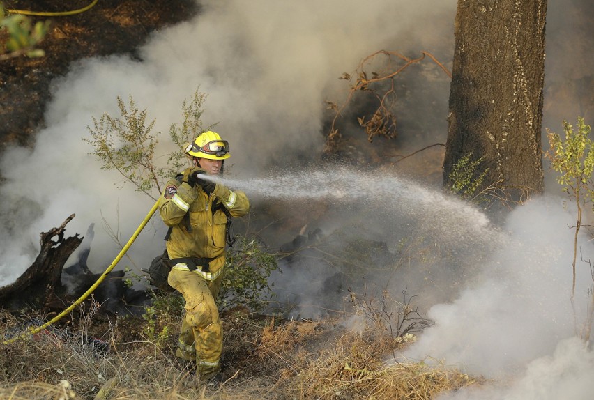 Strażacy gaszący pożar lasu w Kalifornii