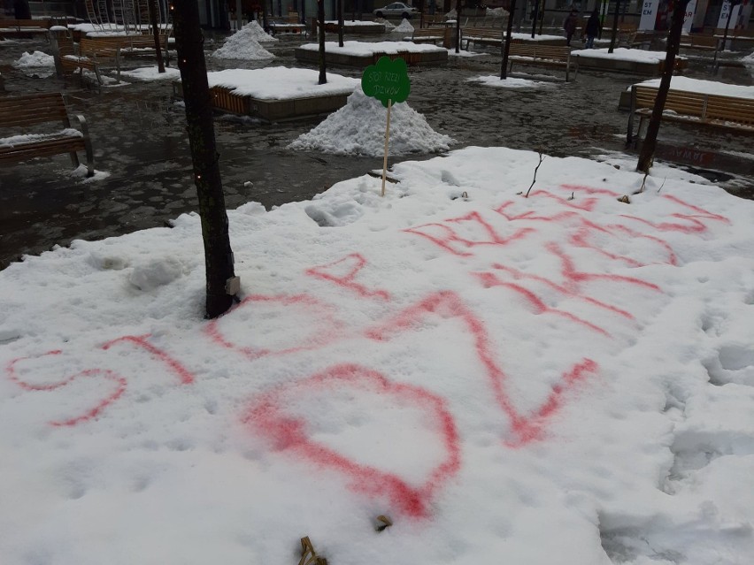 Zapowiedź akcji Stop rzezi dzików w Katowicach