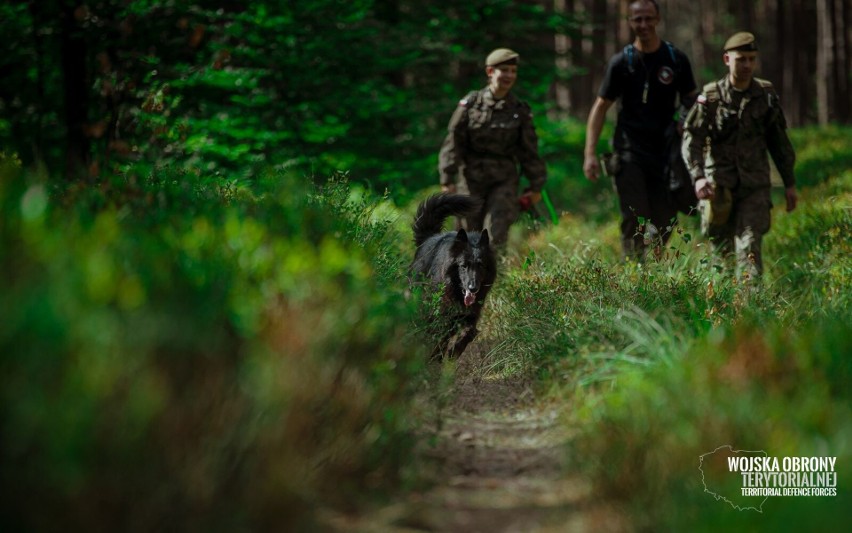 Ares – owczarek belgijski groenendael pierwszym psem...