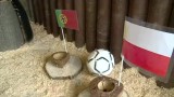 Lemur wytypował zwycięzcę meczu Polska - Portugalia. Zobaczcie wideo!