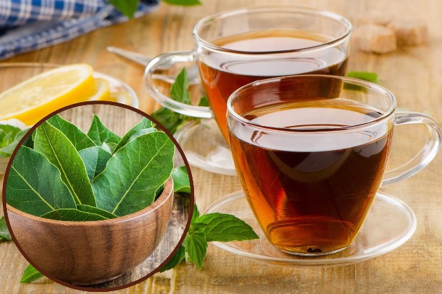 Herbata z liści laurowych łagodzi ból brzucha, gazy i wzdęcia, obniża poziom cukru we krwi oraz wspomaga odchudzanie. Najlepiej pić ją godzinę przed snem.