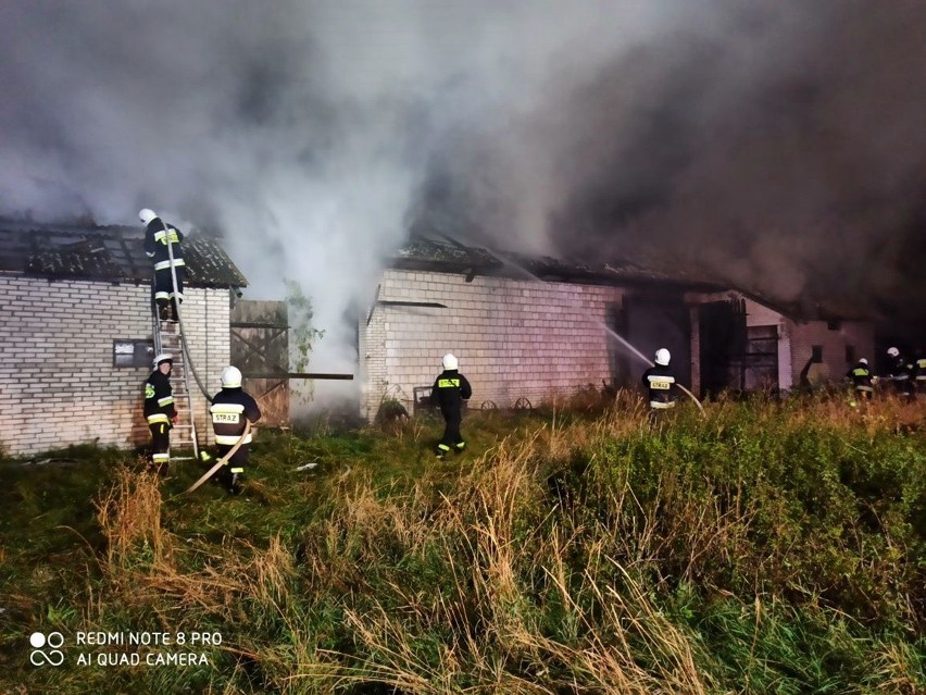 Stodoła stanęła w płomieniach. Strażacy z powiatu radzyńskiego ruszyli na pomoc. Zobacz zdjęcia z akcji