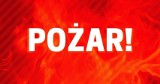 Sopot. Tragiczny pożar budynku gospodarczego przy ul. Kujawskiej. Nie żyje jedna osoba 25.03.2022