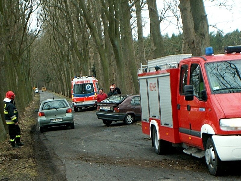 Wypadek koło Kołczewa. Renault uderzył w drzewo, poszkodowani uciekli