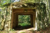 Tajemnicza betonowa brama w środku dolnośląskiego lasu. Co się znajduje za nią?