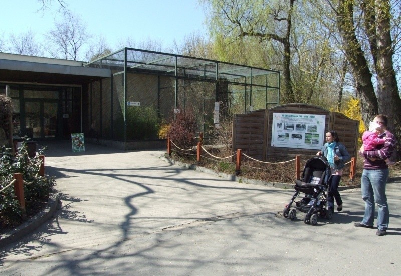 Nowy sezon w łódzkim zoo. Motylarnia dla owadów, ptaków i antylop [ZDJĘCIA]