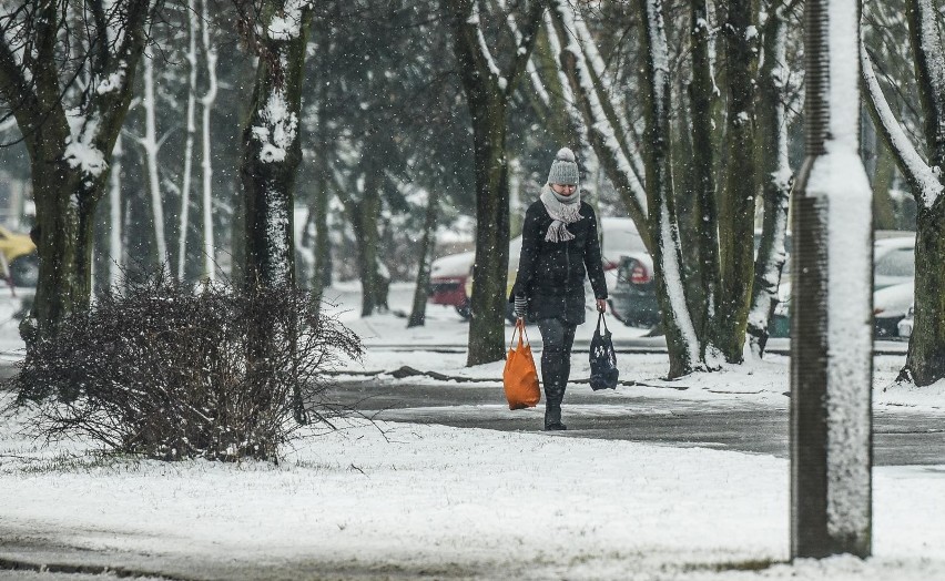 Kiedy będzie zima?