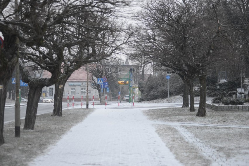 Długoterminowa prognoza pogody na zimę 2018/2019. Do grudnia...