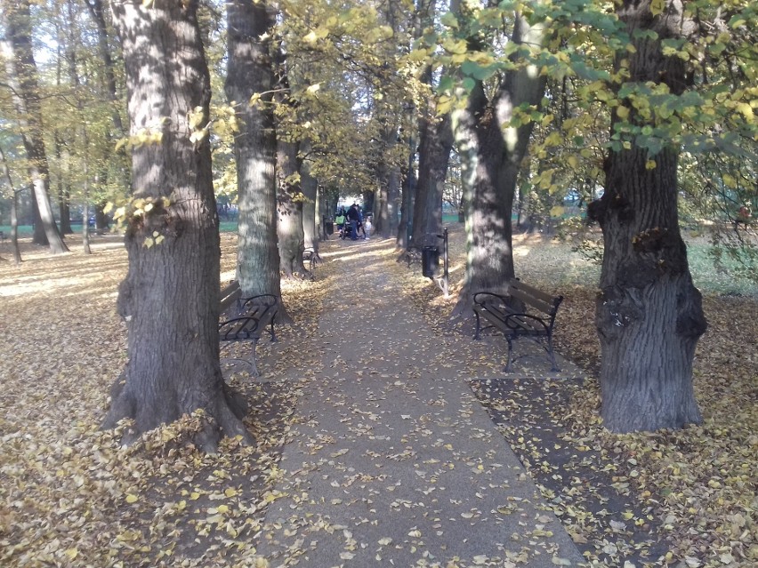 Park Tadeusza Kościuszki w Krakowie znów bez śniegu. Można w nim spędzić aktywnie czas, nie tylko na spacerze [ZDJĘCIA]