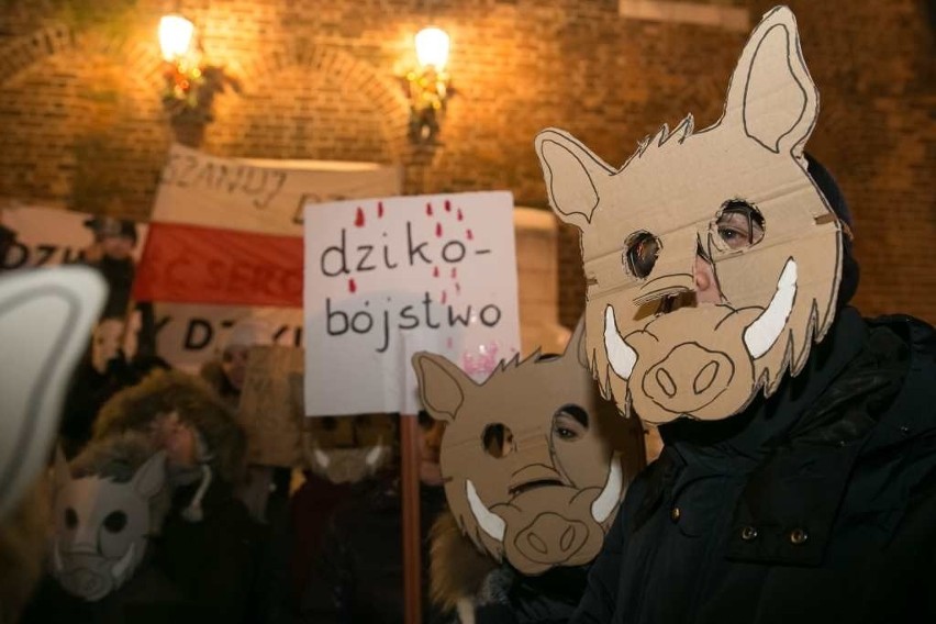 Kraków. "Dziki" na Rynku Głównym? To protest przeciwko masowym polowaniom [ZDJĘCIA]