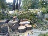 DZ24: Drzewa na cmentarzu w Katowicach w trakcie wycinki przewróciły się na groby